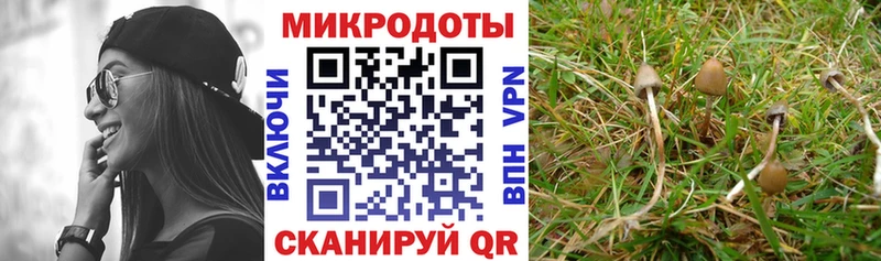магазин    Серов  Галлюциногенные грибы MAGIC MUSHROOMS 